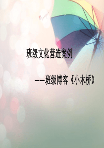第五章-第三节-班级文化营造案例
