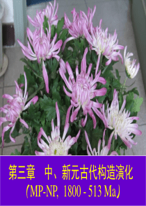 万天丰-中国区域大地构造之三(MP-NP)