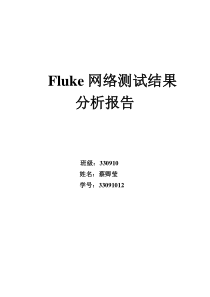 fluke网络测试分析报告