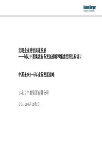 极力推荐罗兰贝格-中惠集团业务发展战略和集团组织结