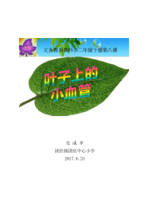 史成苹《叶子上的小血管》教案