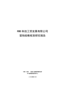 某公司发展战略项目咨询报告(1)
