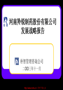 某制药股份有限公司发展战略报告