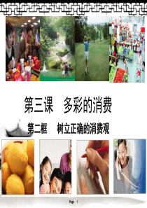 3.2树立正确的消费观(共30张PPT)