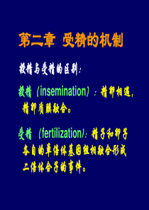 第二章受精的机制