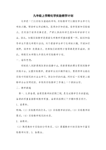 人教版九年级化学实验教学计划(1)