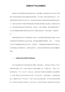 欧盟知识产权法发展简况6(1)