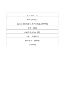 武汉城市圈高新技术产业发展战略研究