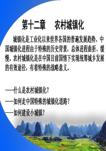 农村城镇化