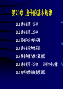 第20章.遗传的基本规律-1