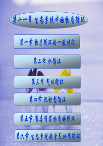 第11章-生态系统的物质循环