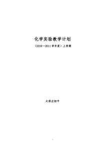 人教版九年级化学实验教学计划-(1)