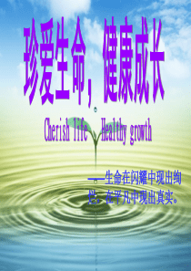 珍爱生命主题班会