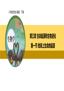 八年级生物下册人教版地球上生命的起源