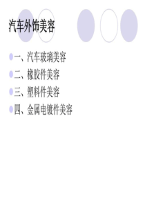 第四章外饰美容