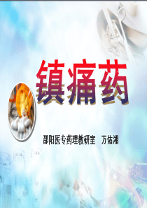 第15+章镇痛药