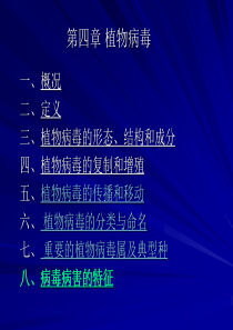 植物病毒