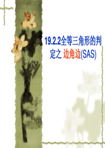 14.4-全等三角形的判定1