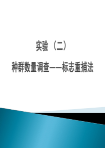 生态学实验2-标志重捕法