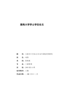 大连可口可乐实施SAP存在的问题及解决对策
