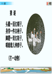 部编版四年级下册15-白鹅