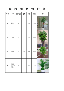 北京绿植租摆报价单