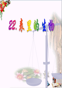 《表里的生物》PPT课件
