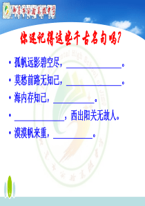 雨霖铃优秀课件