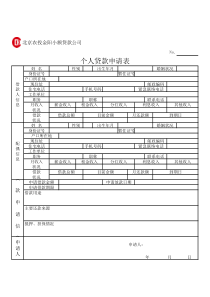 个人贷款申请表