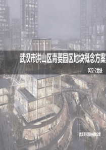 房地产地块规划设计概念方案