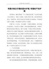 母猫分娩及仔猫的基本护理-母猫的产后护理