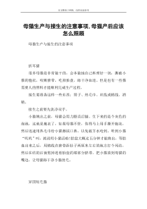 母猫生产与接生的注意事项-母猫产后应该怎么照顾