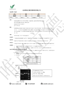 Cas9酶使用说明-唯尚立德