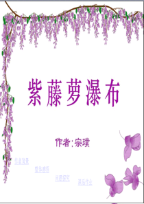 16紫藤萝瀑布讲解