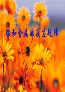 金属和酸的反应