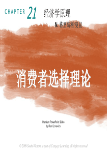 7第二十一章消费者选择理论