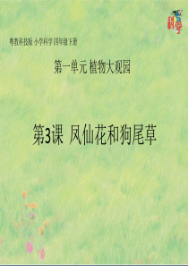 四年级下册第3课《凤仙花和狗尾草》教学课件