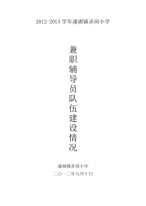 兼职辅导员队伍建设情况