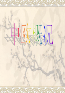 中欧概况