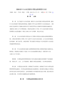 湖南省中小企业发展专项资金管理暂行办法
