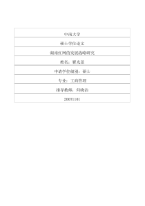 湖南红网的发展战略研究