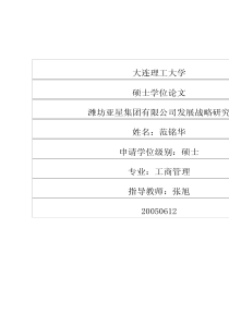 潍坊亚星集团有限公司发展战略研究