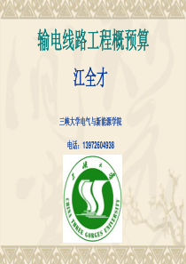 电力