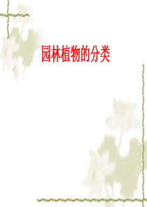 园林花卉的分类