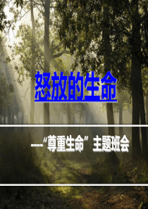 尊重生命高中主题班会