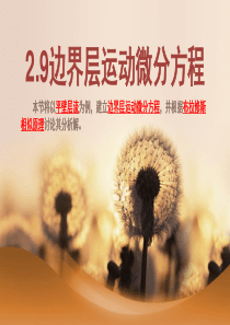 边界层运动微分方程