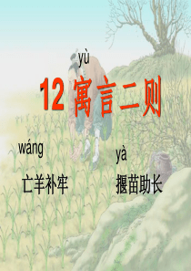二年级下册语文课件-12寓言二则∣人教部编版(2016)-(共40张PPT)