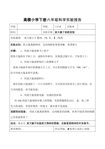 教科版六年级科学下册实验报告