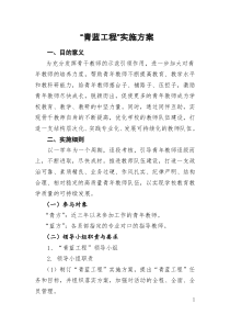 “青蓝工程”实施方案
