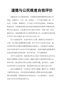 道德与公民维度自我评价